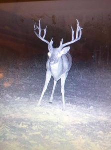 4 Bed 2.5 Bath Country Home On 19.75 Ac In Sawyer Ok For Sal - image 19