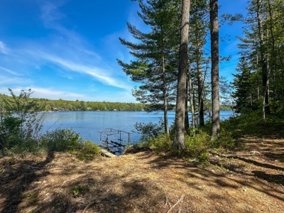 Toddy Pond Log Cabin Retreat - image 20