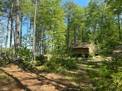 Toddy Pond Log Cabin Retreat - image 36