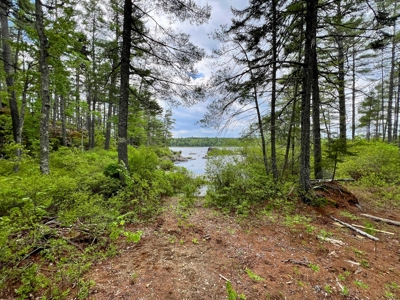 Toddy Pond Log Cabin Retreat - image 37