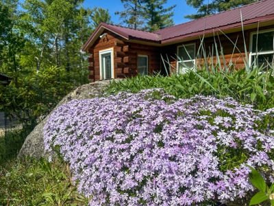 Toddy Pond Log Cabin Retreat - image 32