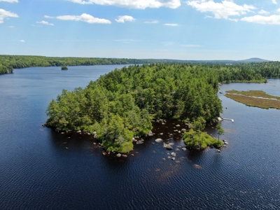 Toddy Pond Log Cabin Retreat - image 4