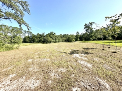River Front Property For Sale On The Suwannee River !!! - image 6