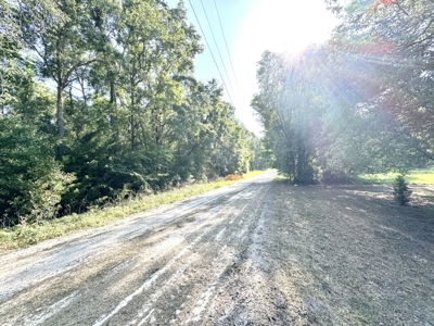 River Front Property For Sale On The Suwannee River !!! - image 3