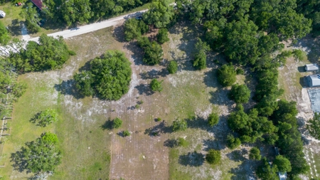 River Front Property For Sale On The Suwannee River !!! - image 10