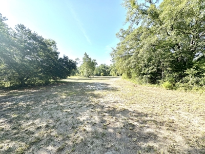 River Front Property For Sale On The Suwannee River !!! - image 11