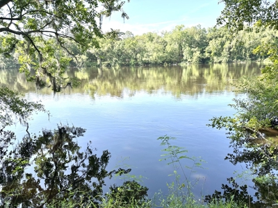 River Front Property For Sale On The Suwannee River !!! - image 5