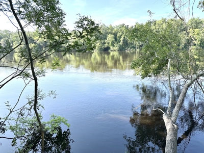 River Front Property For Sale On The Suwannee River !!! - image 1