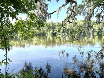 River Front Property For Sale On The Suwannee River !!! - image 4