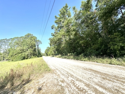 River Front Property For Sale On The Suwannee River !!! - image 2