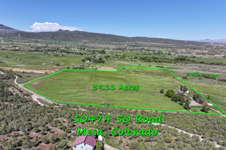 Colorado Home With Irrigated Land For Sale - image 5