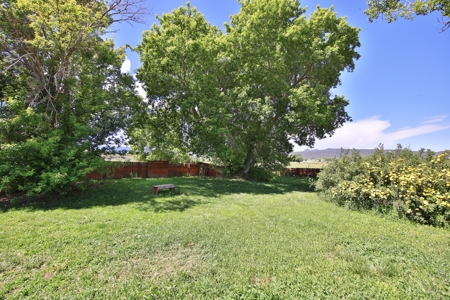 Colorado Home With Irrigated Land For Sale - image 29