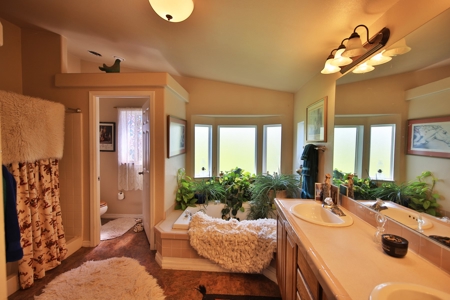 Colorado Home With Irrigated Land For Sale - image 24