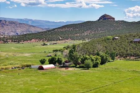 Colorado Home With Irrigated Land For Sale - image 8