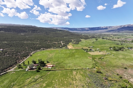Colorado Home With Irrigated Land For Sale - image 6