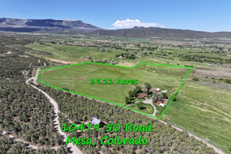 Colorado Home With Irrigated Land For Sale - image 1