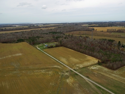 Prime 70+ Acres for Development in Roper, NC - image 5