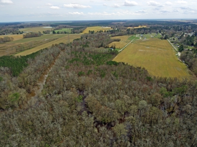 Prime 70+ Acres for Development in Roper, NC - image 29