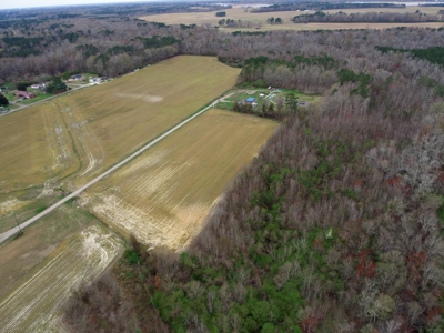 Prime 70+ Acres for Development in Roper, NC - image 22