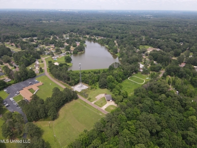 South Jackson 28 - image 14