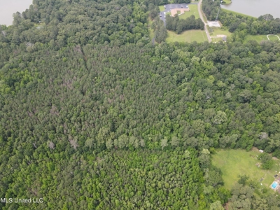 South Jackson 28 - image 20