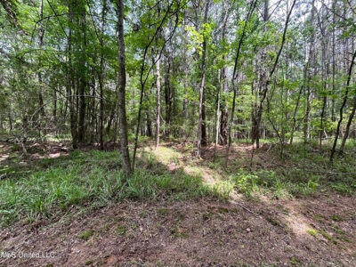 South Jackson 28 - image 4