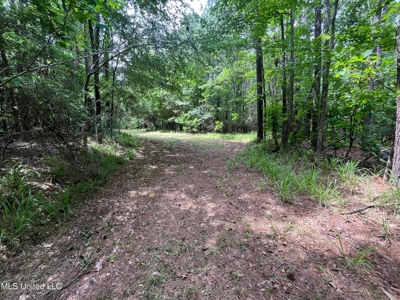 South Jackson 28 - image 9