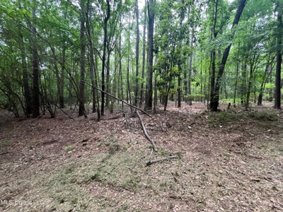 South Jackson 28 - image 13