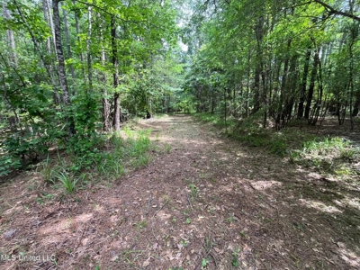 South Jackson 28 - image 10