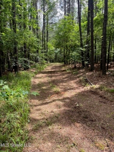 South Jackson 28 - image 6