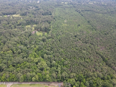 South Jackson 28 - image 25
