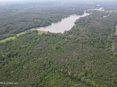 South Jackson 28 - image 21