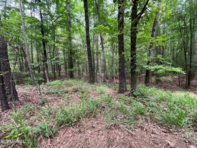 South Jackson 28 - image 11