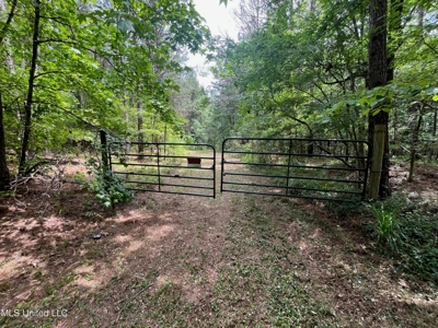 South Jackson 28 - image 2