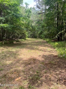 South Jackson 28 - image 7
