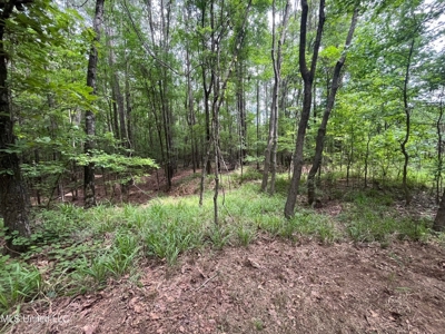 South Jackson 28 - image 12