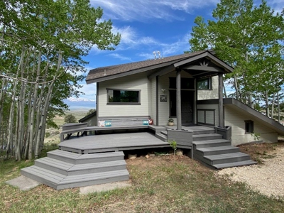 Contemporary Chalet for Sale in Silver Cliff Colorado - image 7
