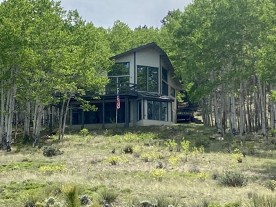 Contemporary Chalet for Sale in Silver Cliff Colorado - image 1