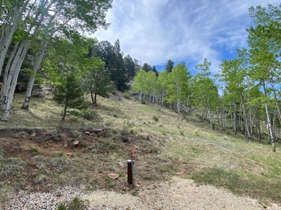 Contemporary Chalet for Sale in Silver Cliff Colorado - image 6