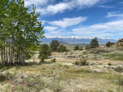 Contemporary Chalet for Sale in Silver Cliff Colorado - image 3