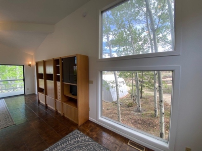 Contemporary Chalet for Sale in Silver Cliff Colorado - image 19