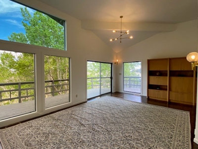 Contemporary Chalet for Sale in Silver Cliff Colorado - image 11