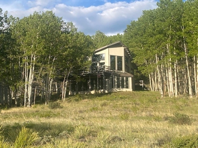 Contemporary Chalet for Sale in Silver Cliff Colorado - image 39