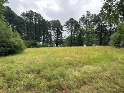 15.45+/- Acres of Commercial/Development Land in Searcy, AR - image 12