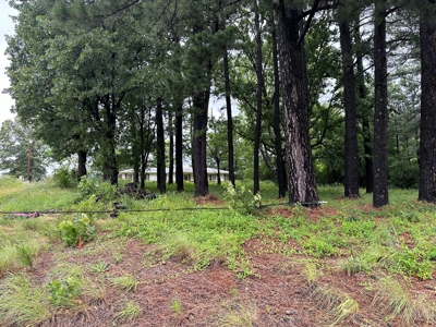 15.45+/- Acres of Commercial/Development Land in Searcy, AR - image 21