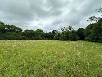 15.45+/- Acres of Commercial/Development Land in Searcy, AR - image 6