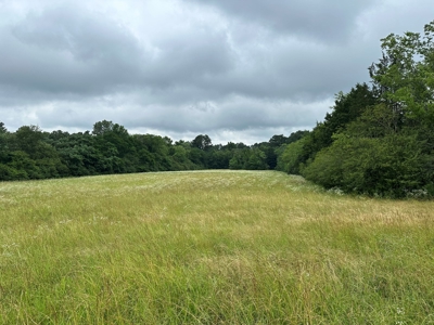 15.45+/- Acres of Commercial/Development Land in Searcy, AR - image 16