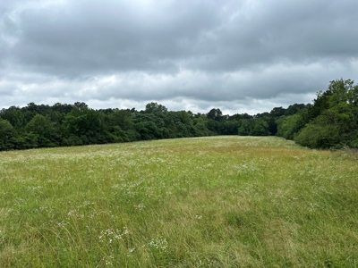 15.45+/- Acres of Commercial/Development Land in Searcy, AR - image 18