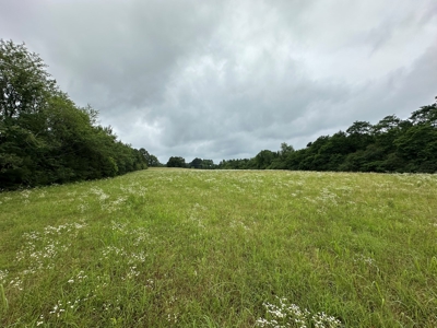 15.45+/- Acres of Commercial/Development Land in Searcy, AR - image 5