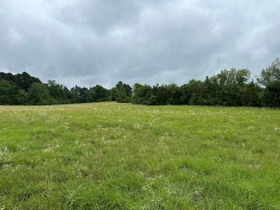 15.45+/- Acres of Commercial/Development Land in Searcy, AR - image 8